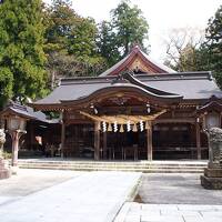 桜を追い求め一路金沢へ　｢１日目　白山比神社と兼六園ライトアップ｣