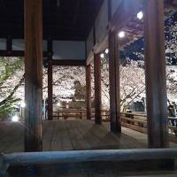 京都ばかりではない桜と古典の名所が花盛り～三井寺編～