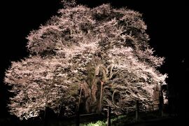 真庭・新庄の旅行記