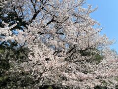 春の東京をぶらぶら ４月