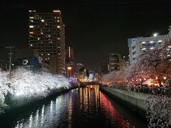 4月初旬、横浜の掃部山公園、大岡川の夜桜&#127800;巡り。