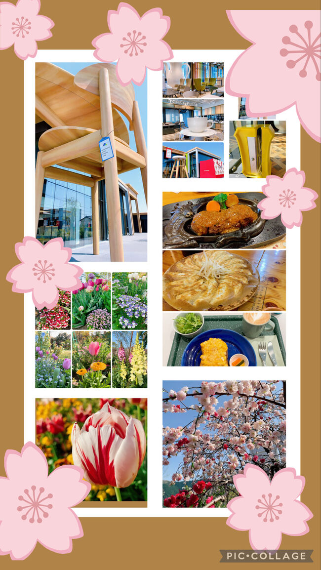 春爛漫♪ 妹と姪っ子たちとの4年ぶりデート in 浜松: 滋賀からの545km往復ドライブ、グルメ、映えスポット、満開の花を楽しんだ1泊2日
