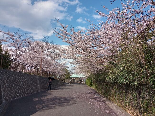 3月29日水曜日<br />京急本線上大岡駅から歩いて、神奈川県戦没者慰霊堂へ。