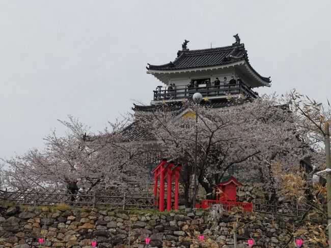 すごく久しぶりの静岡　　<br />富士山目当てでしたが、運よく桜満開の時期と重なりました。<br />地形的にも見どころたくさん、美味しいものもたくさんで<br />またゆっくり行きたいと思いました。<br />初日は浜松観光。<br />