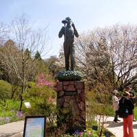 春・らんまん・五台山の新休日　～竹林寺と牧野植物園～　（高知旅・後編）