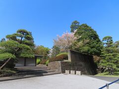 やっと晴天　桜のお花見　☆　皇居「乾通り」の春の一般公開（その１）