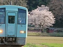 日本100名城の旅（一乗谷城編）