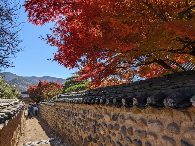 ソウルから地方旅④～ソウルからバスで安東・河回村へ