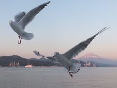 これぞ港町 清水 日帰り観光パーフェクトプラン