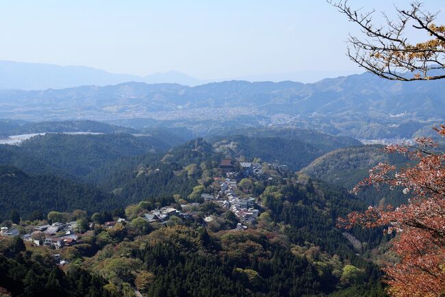 5日め 35,248歩<br /><br />25年ぶりの吉野の桜、なんと惨敗!<br />奥千本ならまだと甘く見ていましたね(笑)<br /><br />前回は10年前の11月に金剛蔵王大権現を参拝がてら、吉野の山をハイキング。<br /><br />今日はそのほか見込み違いと言うか、見誤りと言うか…<br />わざわざ駅から吉野神宮まで歩き、バスに乗車と思ていたのに、お花見シーズンは運行なし、ホームページが紛らわしいんじゃい(笑)<br />私の他にも一人旅の女子がいましたよ。<br />そして、土日のみ運行だったので、この日に計画したのに…あ~くやしい!<br />結局、吉野下千本駐車場までも徒歩!<br />よーく歩きました(笑)、自転車で打った膝も、ホテルの人工温泉:光明石温泉®で和らいだみたい。<br /><br />近鉄奈良駅→西大寺駅/橿原神宮前駅→(特急)→吉野神宮駅…吉野神宮…下千本駐車場…ランチ:うぐいす…竹林前バス停→修行門前バス停…金峯神社…吉野水分神社…花矢倉展望台…櫻本坊…金峯山寺…吉野山駅→(ロープウェイ)→千本口駅/吉野駅→橿原神宮前駅→近鉄郡山駅…郡山駅→(JR大和路線)→奈良駅…ホテル日航奈良…古都華<br /><br /><br />