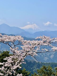 2023 4月　景信山から高尾山