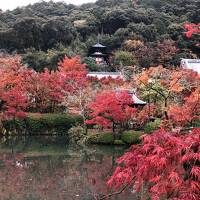 2022秋の京都　永観堂、南禅寺の紅葉