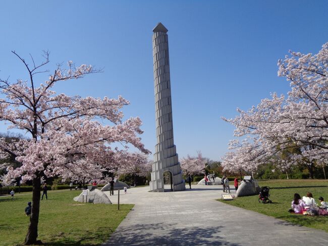 平和公園の桜も賑やかです<br />お彼岸のお墓参りをしてからお花見して帰りました<br />中央に塔が立って芝生広場があります<br />親子がシートを広げて気持ち良さそうにしています<br />５月の陽気で最高なお花見です<br />