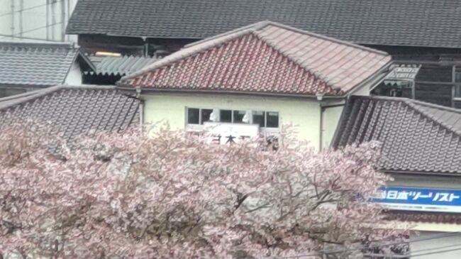 またまたまたどこかにマイル<br /><br />福岡・宮古・宮崎・鹿児島で予約。<br /><br />宮古>宮崎>鹿児島>福岡が希望順。<br /><br />結果福岡になりました。<br />1月にどこかにマイルで福岡になり佐賀温泉巡りをしました。<br />今回どうするか?<br />福岡の温泉探して甘木になりました。<br />甘木という地名も知らずどこにあるの?って感じでした。<br />西鉄と甘木鉄道の2つの路線があると知りびっくり。<br />行きは西鉄で、帰りは甘木鉄道にしました。<br /><br />旅行中体調不良で観光はありません。<br />食欲はありましたので食べてばかりでした。<br /><br />3泊4日旅行代金合計 17000円<br /><br />交通費小計 2180円<br />飛行機 羽田→福岡 マイル<br />電車 福岡空港→天神 260円<br />電車 西鉄福岡→甘木 810円<br />電車 甘木→基山 370円<br />電車 基山→博多 480円<br />電車 博多→福岡空港 260円<br />飛行機 福岡→羽田 マイル<br /><br />宿泊費小計 13280円<br />3泊6食 13280円<br /><br />飲食費小計 940円<br /><br />その他小計 600円<br />福岡県宿泊税 600円<br /><br /><br />過去のどこかにマイル旅行一覧<br />2023年4月 どこかにマイル第19弾 福岡・甘木<br />https://4travel.jp/travelogue/11819346<br />2023年3月 どこかにマイル第18弾 帯広<br />https://4travel.jp/travelogue/11817571<br />2023年3月 どこかにマイル第17弾 北海道千歳<br />https://4travel.jp/travelogue/11815485<br />2023年3月 どこかにマイル第16弾 釧路・川湯温泉・網走・北見<br />https://4travel.jp/travelogue/11812243<br />2023年2月 どこかにマイル第15弾 沖繩<br />https://4travel.jp/travelogue/11808466<br />2023年2月 どこかにマイル第14弾 釧路<br />https://4travel.jp/travelogue/11807781<br />2022年12月 どこかにマイル第13弾 那覇<br />https://4travel.jp/travelogue/11799212<br />2022年11月 どこかにマイル第12弾 苫小牧・千歳<br />https://4travel.jp/travelogue/11794121<br />2021年7月 どこかにマイル第11弾 北海道 その1 美瑛<br />https://4travel.jp/travelogue/11700734<br />2021年6月 どこかにマイル第10弾 北海道 その1 美瑛・富良野<br />https://4travel.jp/travelogue/11697202<br />2019年12月 どこかにマイル第9弾 その1 鹿児島<br />https://4travel.jp/travelogue/11571700<br />2019年9月 どこかにマイル第8弾 その1 小松<br />https://4travel.jp/travelogue/11540105<br />2019年8月 どこかにマイル第7弾 その1 帯広<br />https://4travel.jp/travelogue/11523275<br />2019年5月 どこかにマイル第6弾 座間味&那覇<br />https://4travel.jp/travelogue/11493946<br />2018年9月 どこかにマイル第5弾 その1 高松<br />https://4travel.jp/travelogue/11406170<br />2018年9月 どこかにマイル第4弾 その1 山口と少し門司港<br />https://4travel.jp/travelogue/11400431<br />2018年3月 どこかにマイル第3弾 徳島<br />https://4travel.jp/travelogue/11338711<br />2017年3月 どこかにマイル第2弾 秋田<br />https://4travel.jp/travelogue/11223807<br />2017年2月 どこかにマイル第1弾 旭川<br />https://4travel.jp/travelogue/11214168