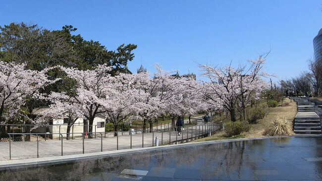 4月に入ってすぐ、東京の桜は見事に散って・・・<br />今年もお花見しなかったなぁ～<br /><br />長女が出張で新潟に行くと聞いてました。<br />そして長女夫は同じ日から海外出張で1週間留守にするので、長女は新潟からそのままウチに来るそうです。<br /><br />へぇ～そうなのね、了解です。<br />そこでふと・・・私も新潟行こっかなぁ～<br /><br />ちょうど私も月曜日は仕事がお休みです。<br />だったら桜見に一緒に新潟行けるじゃない！<br /><br />長女が仕事行った後1日新潟ひとり歩き。<br />月曜日に短い時間ですが初のひとり散歩するのも良いかも！！<br /><br />今までも何度となく一人旅を計画しては断念して。<br />旅友が居ないのは寂しくて耐えられそうにない情けない私です。<br />でも夕方までの短い時間なら大丈夫でしょ！<br />お試しにちょうど良いタイミングです。<br /><br />さっそくツインでホテル探し始めます。<br />新潟も4月以降の全国旅行支援割の延長を発表しました。グッドタイミング！！<br /><br /><br />初のプチひとり歩き！<br />楽しみです♪♪<br /><br />