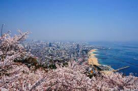 桜満開☆兵庫の名所を巡る旅　①（須磨浦山上は眺望絶景～♪日本一乗り心地の悪い乗り物にも乗ってみたー）