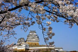 桜満開☆兵庫の名所を巡る旅　②（姫路城内が、まさかの大渋滞！明石・日岡山公園、今日は夜まで桜三昧♪）