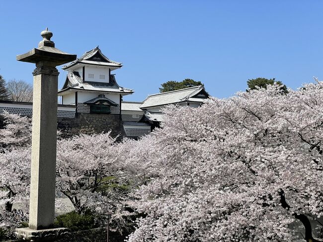 兼六園の桜が満開で、さらに無料開放というので、いざ金沢へ！とお出かけしてきました。<br />兼六園、金沢城公園の桜と勿論、花も団子も。<br /><br />金沢は北陸新幹線の開通で関東方面からのアクセスが良くなり、<br />関西方面からは特急列車があるので行きやすいところかと。<br />北陸新幹線があと1年で敦賀まで延長されるとのこと、人の流れはどうなるんでしょうね～。