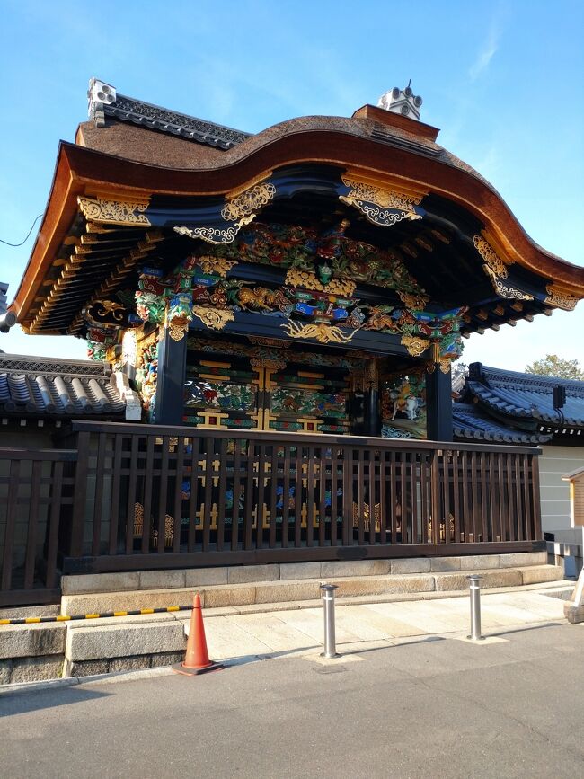ロイヤルパークホテル京都梅小路と京都駅周辺を散策しました
