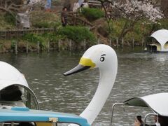 心の安らぎ旅行　ぐるっとパス最終章（山本有三氏記念館に行った後、井の頭公園へ）