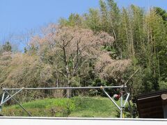 中井町松本の風景（中井町松本）