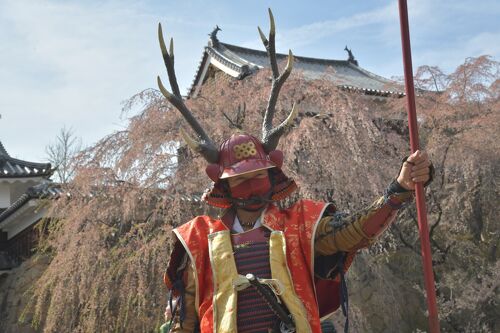 おのおのがた、美しいでござる”真田家上田城の桜』上田(長野県)の旅行