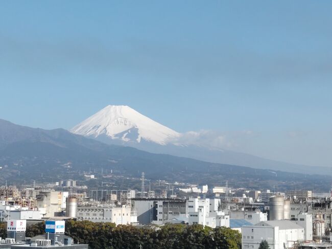 すごく久しぶりの静岡　　<br />富士山目当てでしたが、運よく桜満開の時期と重なりました。<br />地形的にも見どころたくさん、美味しいものもたくさんで<br />またゆっくり行きたいと思いました。<br />2日目は三島。やっと富士山も見られました。