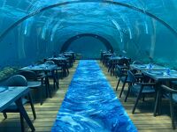 モルディブ　水中レストラン