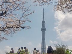 東京へ桜を見に日帰りのバスツアーに行ってきました。