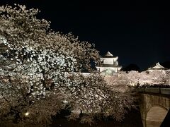 桜満開の金沢で1泊2日　前半