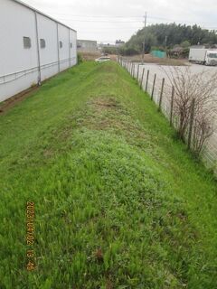 柏市の十余二・高田台牧野馬土手・武蔵野物流隣