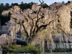 身延山・いさご屋旅館に泊まってきました & 山梨の秘湯 満喫の旅(身延山・西山温泉・奈良田温泉)