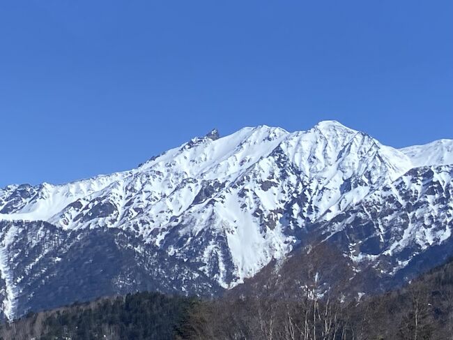 奥飛騨温泉郷の旅行記です。孫、娘、カミさんと三世代チームとじいじで絶好の天気に恵まれて新穂高ロープウェイ 奥飛騨クマ牧場を堪能させていただきました。ホテル穂高は露天風呂からの山の絶景も楽しめて最高でした。クマ牧場のクマたちも愛嬌を振りまいてくれ孫も喜んでました。<br />もちろん桜も楽しみました。