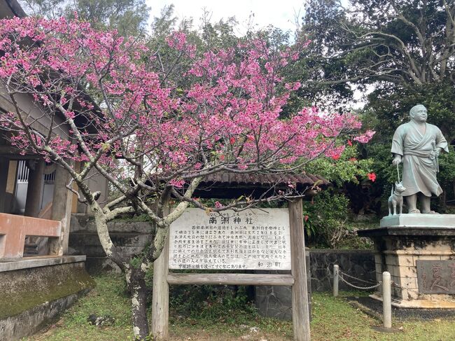 奄美群島①（鹿児島からフェリーで沖永良部島へ）