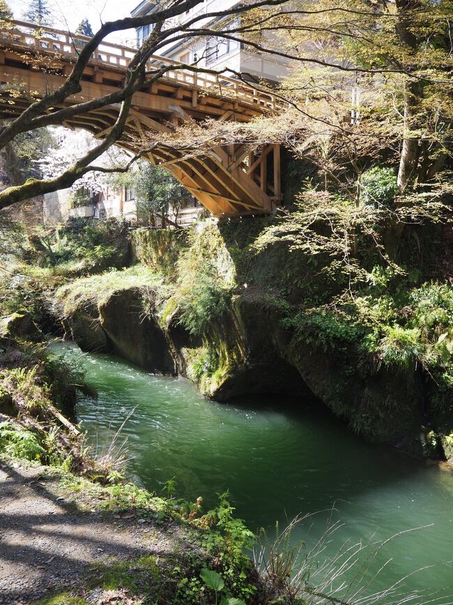 春休みのプチ旅行。<br />加賀温泉郷のどこにしようか迷いましたが、温泉街や付近の散策が楽しそうな山中温泉を選びました。<br />川の側の遊歩道を歩き、温泉街を散策と、二種類の景色を楽しみました。