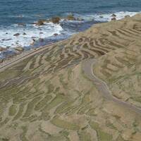 公共交通機関で早春の能登・金沢（金沢⇒和倉温泉⇒輪島）輪島～帰京編3～4日目