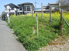 流山市の駒木台・上野牧の野馬土手・八木郵便局