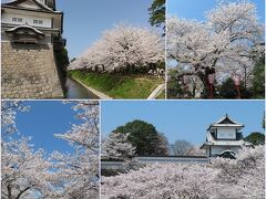 桜満開の金沢（２）滝亭の食事＆兼六園と金沢城でお花見