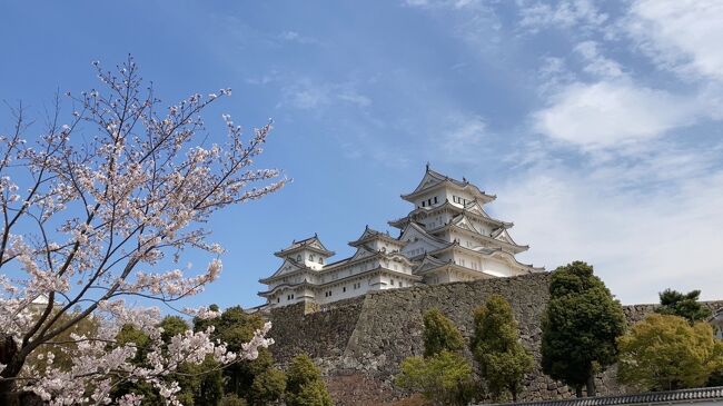 ２０２３年 春　京都・兵庫・大阪への家族旅行<br /><br />京都を拠点に京都、兵庫、大阪を巡りました。<br />お天気に恵まれ、行く先々で綺麗な桜を愛でることができました。<br /><br />１日目　京都（平等院・醍醐寺・伏見稲荷大社・八坂神社・清水寺）<br />２日目　兵庫（姫路城）・大阪<br />３日目　京都（東福寺・三十三間堂）