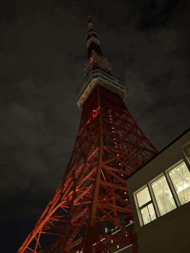 中学を卒業した姪っ子と2人きりの卒業旅行。<br />おばぁちゃん(私の母)から「ディズニー行ったら？」と言う言葉に甘えて計画。<br /><br />姪っ子は「ディズニーは行かなくていい。東京の街中に行きたい」との希望だったのでディズニー好きなわたし的には悲しいけど私も楽しめるように考えてみました。