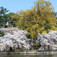 ☆初めての　どこかにビューーン！2023年3月 長岡☆ No. 4 大宮編