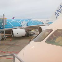 2020正月 中米３ヶ国遺跡巡りの旅（１）ANA NH180便ビジネスクラスで20年ぶりのメキシコへ