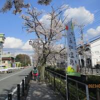 さくら・もも 満開の甲斐路 石和温泉