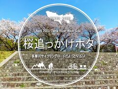 桜追っかけポタ・多摩川サイクリングロードだよ♪ 前編