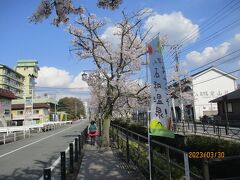 さくら・もも 満開の甲斐路 石和温泉