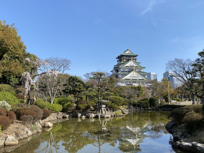 今回の旅行も後半戦に入りました。<br />ここから2日間は大阪滞在。<br />毎年恒例のセンバツ観戦と併せて、今回は久しぶりに大阪城公園を訪れました。