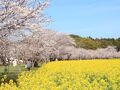 春のみやざき旅　　２－2