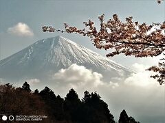 関東以西、桜旅