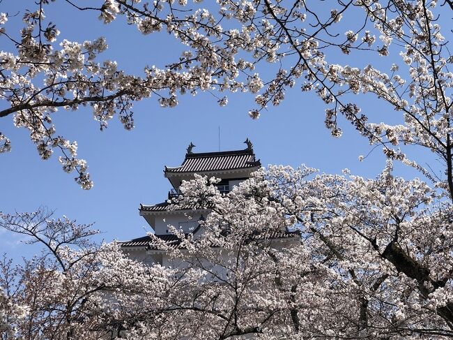 最近ようやく面倒くさくなくなってきた世の中、春の陽気で桜の開花も例年より早いようで、かねてより見たかった会津若松の鶴ヶ城の桜が見られそう。ということで恒例の春休み家族旅行は福島に決定！福島方面に行くなら以前から行きたかった大谷資料館にも行きたい！さらには須賀川特撮アーカイブセンターにも行きたい！オタクな家族旅行が始まりました。その2では須賀川特撮アーカイブセンターと鶴ヶ城訪問です。