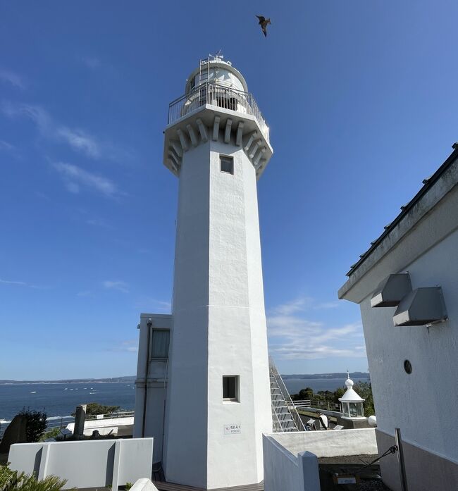 お天気も良く比較的温かそうなので、春休みで遊びに来た孫を連れて城ケ島に蟹でも釣りに・・と出かけましたが、どうやら渋滞していそうなので、途中で目的地を観音崎に変えました。<br />久しぶりの海は気持ちよく、しばらくぶらぶら・・<br />どうやら灯台に入れるらしいというので上ってみました。<br />お昼は海が見えるレストランで・・<br />せっかくさきいかまで買ってわざわざ行ったのに、まだ少し早いのか結局蟹つりどころか蟹の姿さえ見られず・・<br />でも気持ちいい青空の元、海でのんびりした休日が過ごせました。<br /><br /><br />